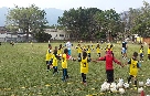 c1.jpg