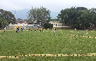 c2.jpg