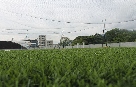 e4.jpg
